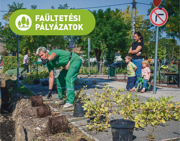 Faültetési pályázatok